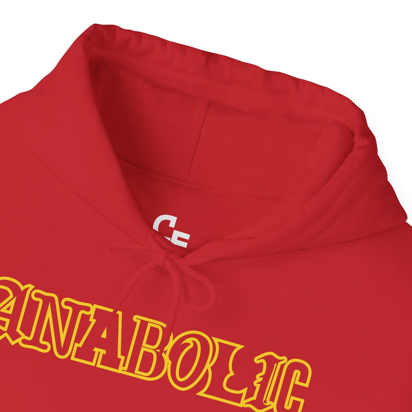 Anabolic Pump Cover Hoodie